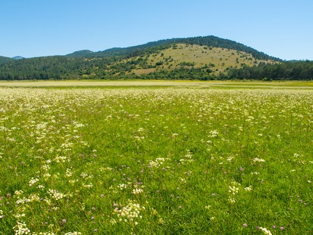 Intermittent lake is typical in slovenian Green Karstの写真素材