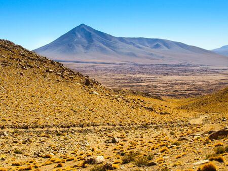 High peaks and typical grass clumps in Cordillera de Lipez in southern bolivian Altiplanoの写真素材