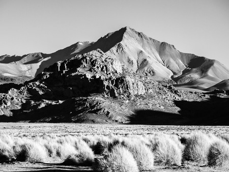High peaks and typical grass clumps in Cordillera de Lipez in southern bolivian Altiplano, black and white imageの写真素材