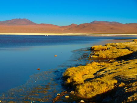 Laguna Colorada or Red Lagoon and typical brown mountains in bacground,, Reserva Nacional de Fauna Andina Eduardo Avaroa, Cordillera de Lipez, Boliviaの写真素材