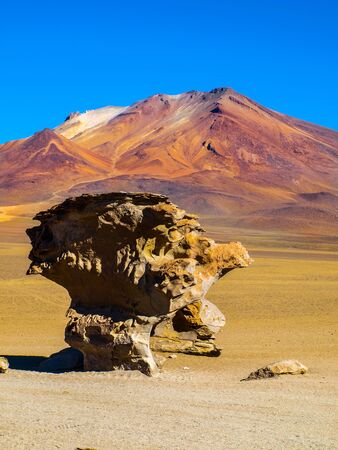 Stone tree rock formation in desert landscape of Altiplano with blue sky, Boliviaの写真素材