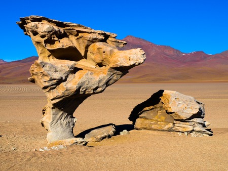 Stone tree rock formation in desert landscape of Altiplano with blue sky, Boliviaの写真素材