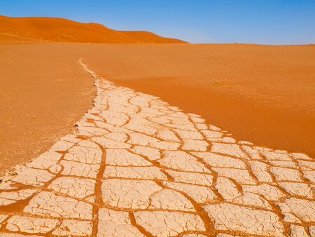 Cracked soil and red sand of Namib desert, Deadvlei, Naukluft National Park, Namibia.の写真素材