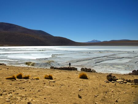 Borax mines in andean lagoon on sunny day with clear blue sky, Boliviaの写真素材