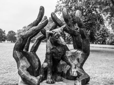 KRAKOW, POLAND - CIRCA 2014: Bronze statue of Dzok, the dog, in Cracow, Poland, circa 2014. The Dzok Dog symbolises dog's loyalty and devotion.. Black and white image.のeditorial素材
