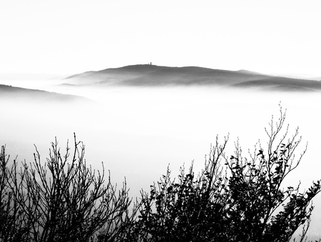 Cerchov Mountain above clouds in autumn inversion weather, Czech Republic. Black and white image.の写真素材