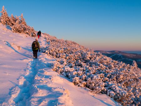 Group of people walks in winter mountains iat sunset time. Landscape illuminated by evening sun. Giant Mountains or Krkonose, Czech Republicの写真素材