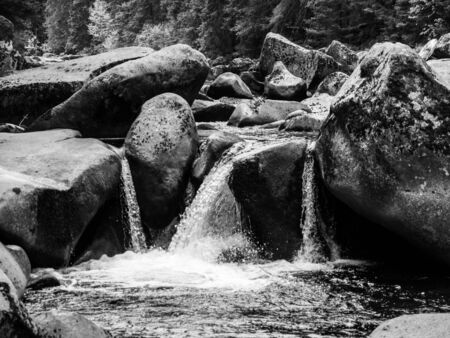 Mossy rocks in the wild stream of Vydra river, Sumava National Park, Bohemian Forest, Czech Republic. Black and white image.の写真素材