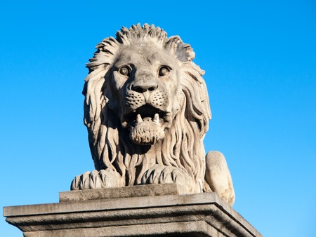 Lion sculpture on Chain Bridge in Budapest, capital city of Hungary, Europe. Detailed shot on blue sky background.の写真素材