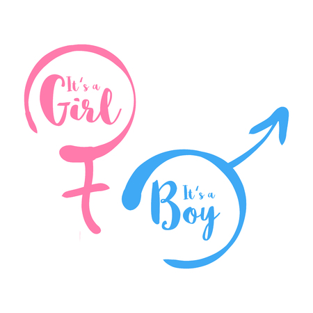 Its a boy or girl - baby shower invitation template. Calligraphic text in the hand-drawn female and male gender sign. Baby born announcement template. Simple flat black vector illustration on white background.のイラスト素材