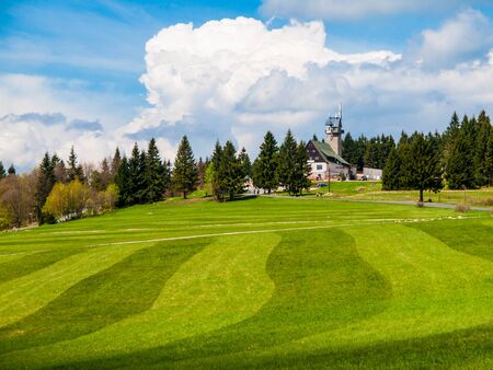 Freshly mowed meadow in Jizera Mountains near Kralovka hut and lookout tower, Czech Republic.の写真素材