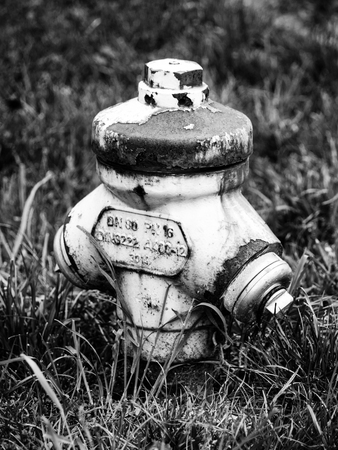 Old fire hydrant hidden in the grass. Black and white image.の写真素材