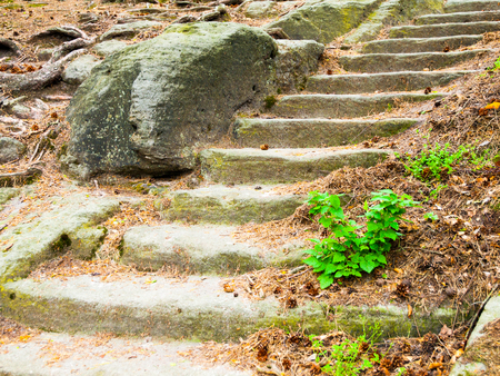 Long sandstone stairs in the forest, Kokorinsko, Czech Republicの写真素材