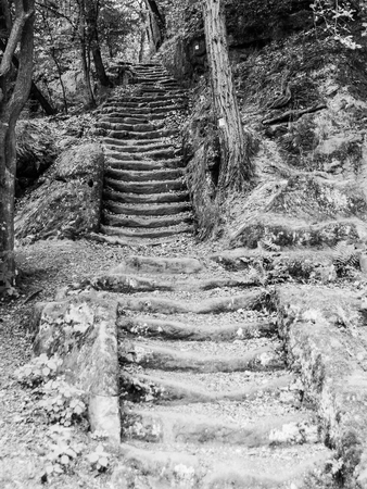 Long sandstone stairs in the forest, Mseno, Kokorinsko, Czech Republic Black and white image.の写真素材