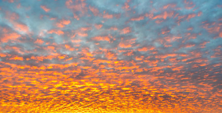 Red dawn with cirrocumulus clouds illuminatedy by rising sun. Morning sky wallpaper background.