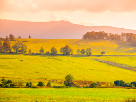 Landscape of Sumava meadows, Southern Bohemia, Czech Republicの写真素材