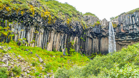 Svartifoss waterfall with basalt columns, Skaftafell National Park, Iceland.