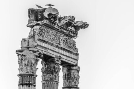 Detailed view of temple ruins in Roman Forum, Rome, Italy. Black and white image.