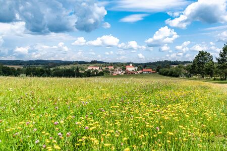 Rural summer landscape with green meadow, blue sky and white clouds. Jistebnice, South Bohemia, Czech Republic.の写真素材