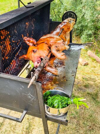 Outdoor piglet grilling. Pork meat garden barbecue.の写真素材