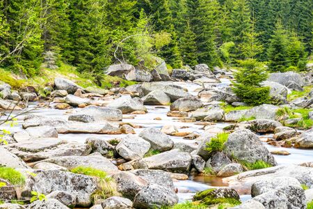 Jizera river full of granite rocks on sunny summer day, Jizera Mountains, Czech Republic.の写真素材