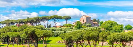 Palatine hill with umbrella pines on sunny summer day. Panoramic view. Rome, Italy.の写真素材