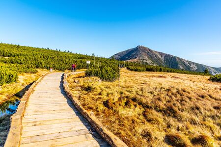 Wooden footpath leads to Snezka Mountain. Giant Mounatins, Krkonose National Park, Czech Republic.の写真素材