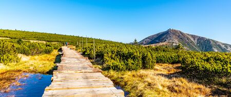 Wooden footpath leads to Snezka Mountain. Giant Mounatins, Krkonose National Park, Czech Republic.の写真素材