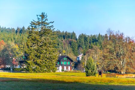 Mountain village Kladska with typical wooden houses. Kladska, Czech Republic.の写真素材