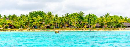 Sunny holiday in tropical paradise. Blue sea and sky, white sand beach and green palm trees.の写真素材
