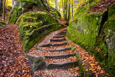 Sandstone staircase in autumnal forest. Bohemian Paradise, Czech Republicの写真素材