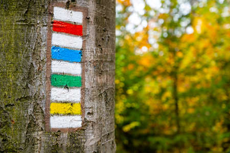 Four different colors of Czech Hiking Markers System - red, blue, green and yellow. Tourist signs painted on the tree bark.の写真素材