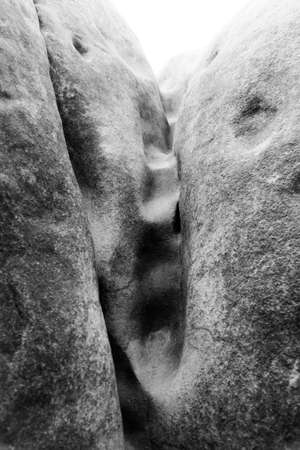 Close-up of Elephant Sandstone Rocks, Sloni kameny, near Jitrava in Lusatian Mountains, Czech Republic. Black and white image.の写真素材