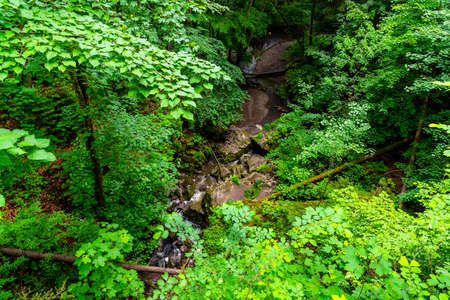 Nova Rasovna sinkhole, or estavelle, near Ostrov u Machochy, Moravian Karst, Czech Republicの写真素材