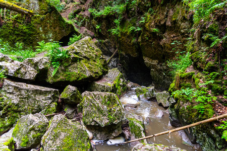 Nova Rasovna sinkhole, or estavelle, near Ostrov u Machochy, Moravian Karst, Czech Republic