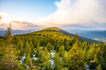 Woody landscape of Giant Mountains, Czech: Krkonose, Czech Republic. Plesivec Mountain in early...