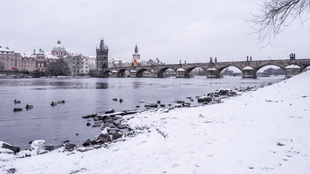 Charles Bridge and Vltava river in wintertime. Ducks in cold water. Prague, Czech Republic. Black...