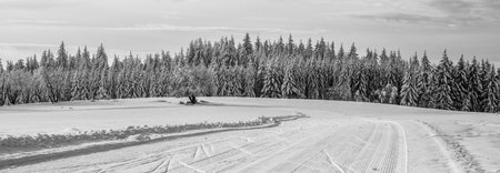 Cross country skiing track. Sunny day in mountains. Outdoor leisure activity.の写真素材