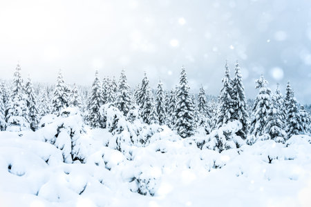 Fairytale winter forest landscape with lot of snow and falling snowflakes. Christmas nordic...
