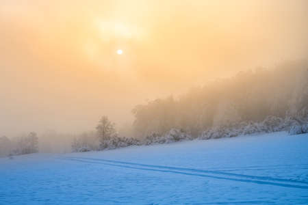 Winter monring landscape. Snowy plains and frozen trees illuminated by sunrise in foggy freezing morning. Lusatian Mountains, Czech Republicの写真素材