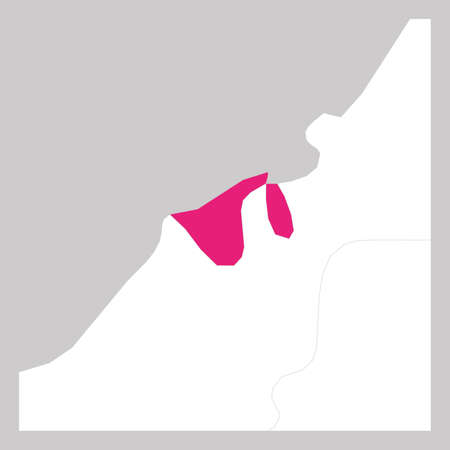 Map of Brunei pink highlighted with neighbor countriesのイラスト素材