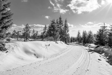 Cross country skiing track in winter