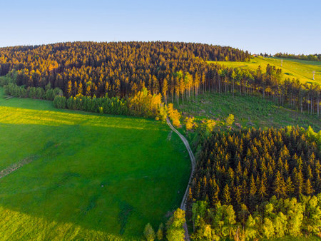 Rural country road between green meadows and forest