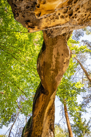 Unique sandstone arch in pine forestの写真素材