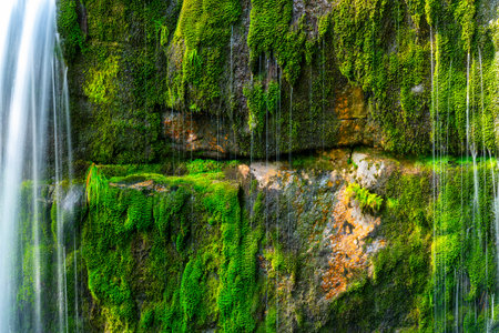Wild Forest Waterfall with mossy granite rockの写真素材
