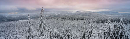 Winter forest landscape in Jizera Mountains, Czech Republic. Panoramic viewの写真素材