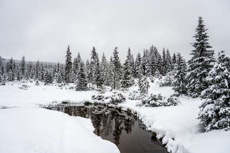 Winter in Jizera Mountains. Snowy landscape with trees and small creek. Czech Republicの写真素材