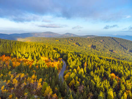 Autumn time colorful forest and narrow asphalt roadの写真素材