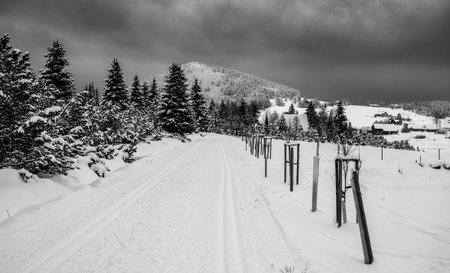 Winter time in Jizera Mountainsの写真素材