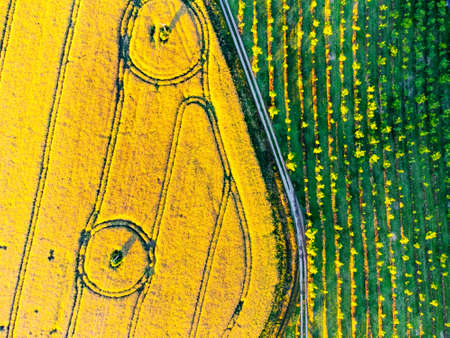 Rural agricultural landscape in summer eveningの写真素材